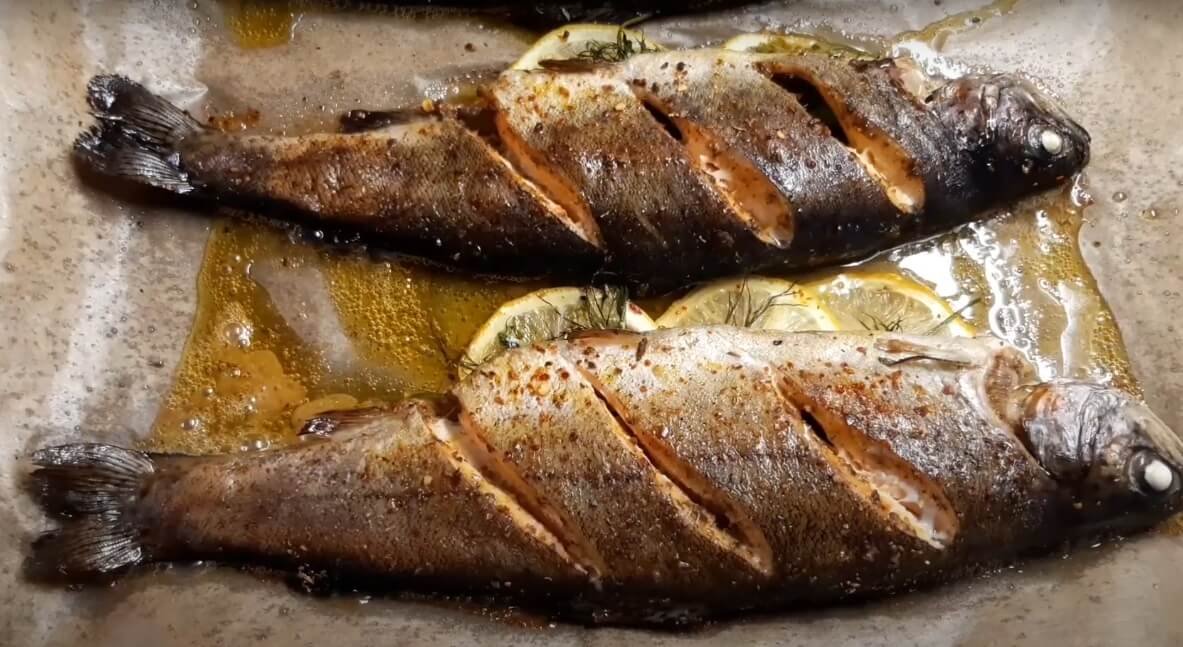 Baked Trout recipe baked