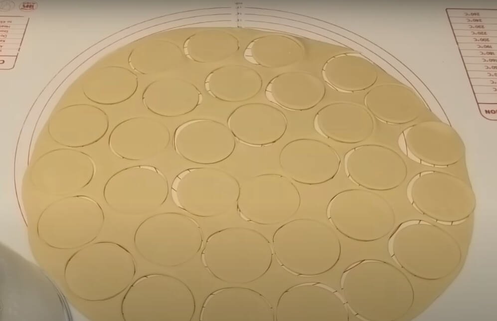 Classic Dumpling Recipe cut circles